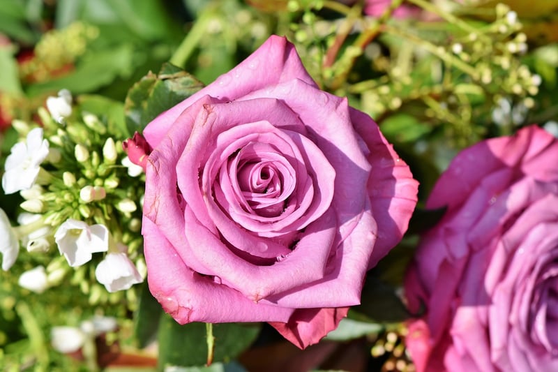 Floral Arrangement